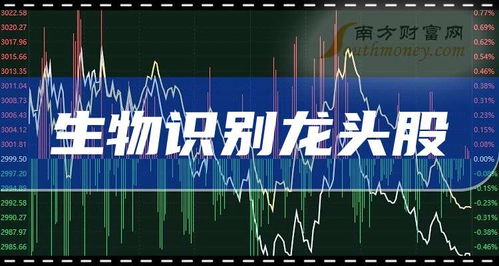 生物識(shí)別龍頭企業(yè)前三名 2025年展望與技術(shù)開(kāi)發(fā)服務(wù)解析